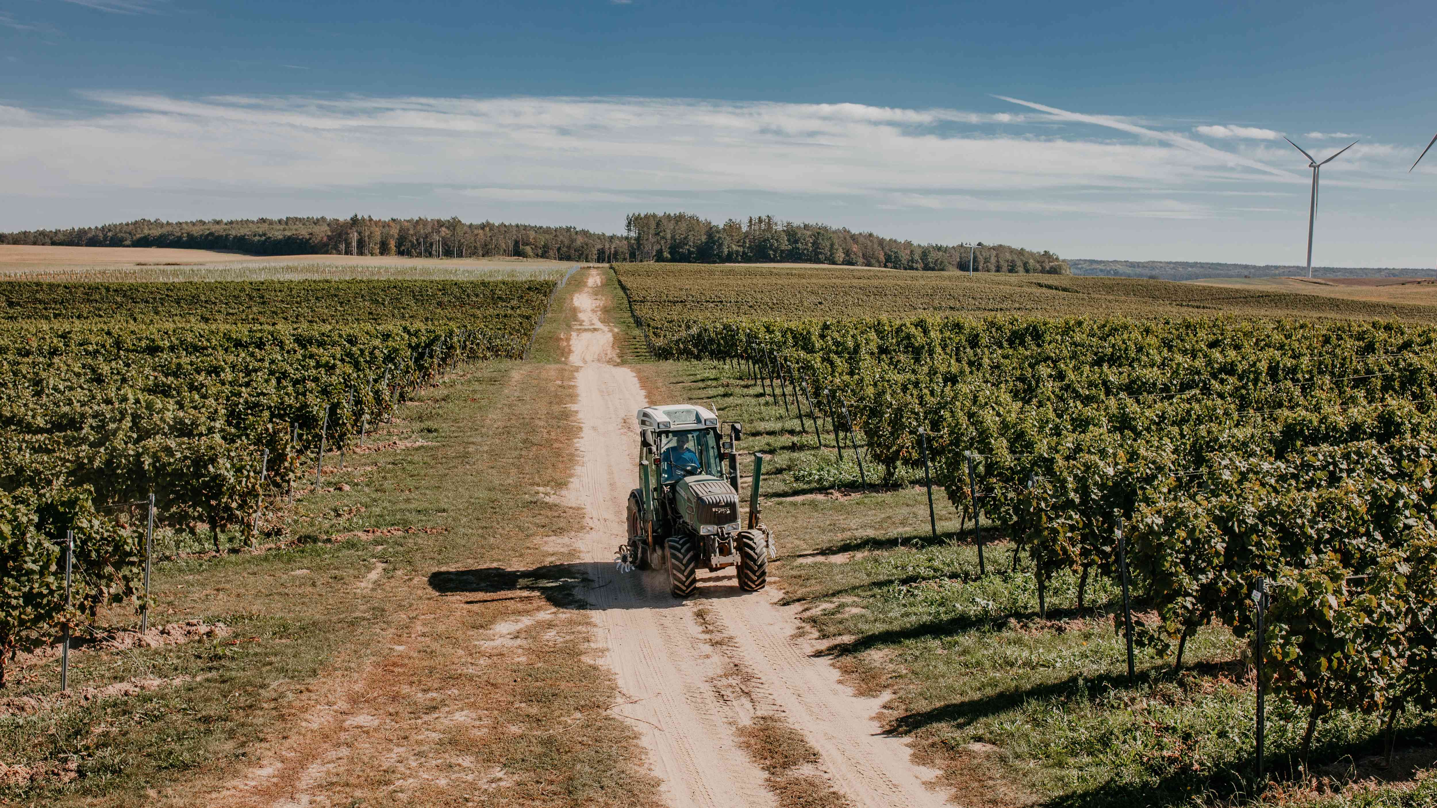Traktor jadący między rzędami winorośli w Winnicy Turnau