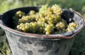 winnicaturnau2025_zbiory2025_8_1.jpg