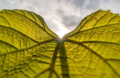 winnicaturnau_2025_natura_zwierzeta_4.jpg
