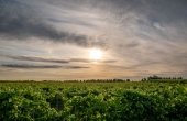 winnicaturnau_2025_natura_zwierzeta_9.jpg
